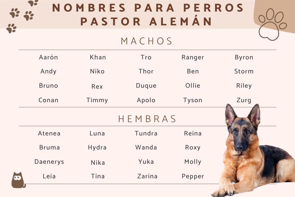 Nombres para perros pastor alemán