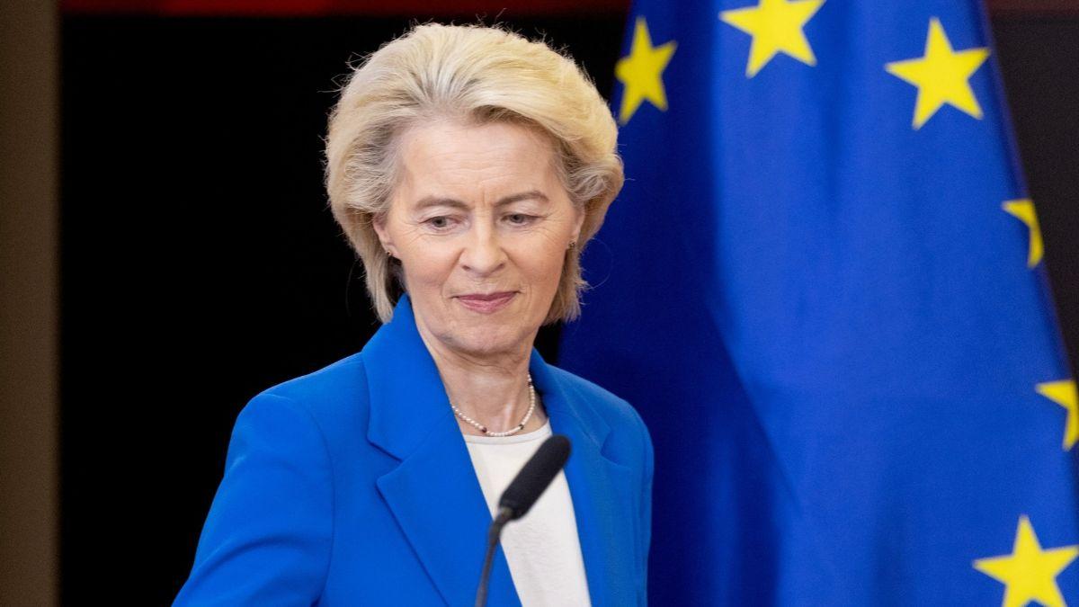 Ya es oficial: la UE cambia las normas para viajar con perros y gatos y, desde el 1 de octubre de 2026, será obligatorio el nuevo certificado zoosanitario
