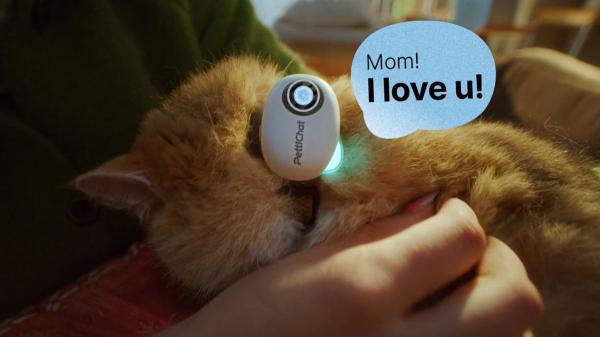 Crean un dispositivo que traduce los ladridos y maullidos con IA: promete más del 90% de precisión y así funciona - Así funciona la IA que “traduce” a perros y gatos