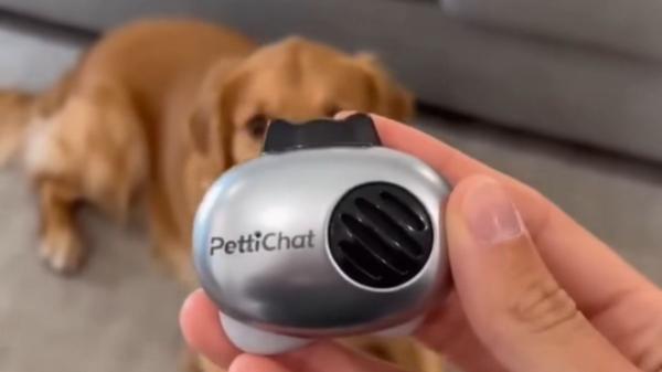 Crean un dispositivo que traduce los ladridos y maullidos con IA: promete más del 90% de precisión y así funciona - Un dispositivo que promete “traducir” a tu perro o gato en tiempo real