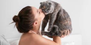 ¿Eres más de gatos que de perros? Un estudio explica qué puede decir eso sobre tu personalidad