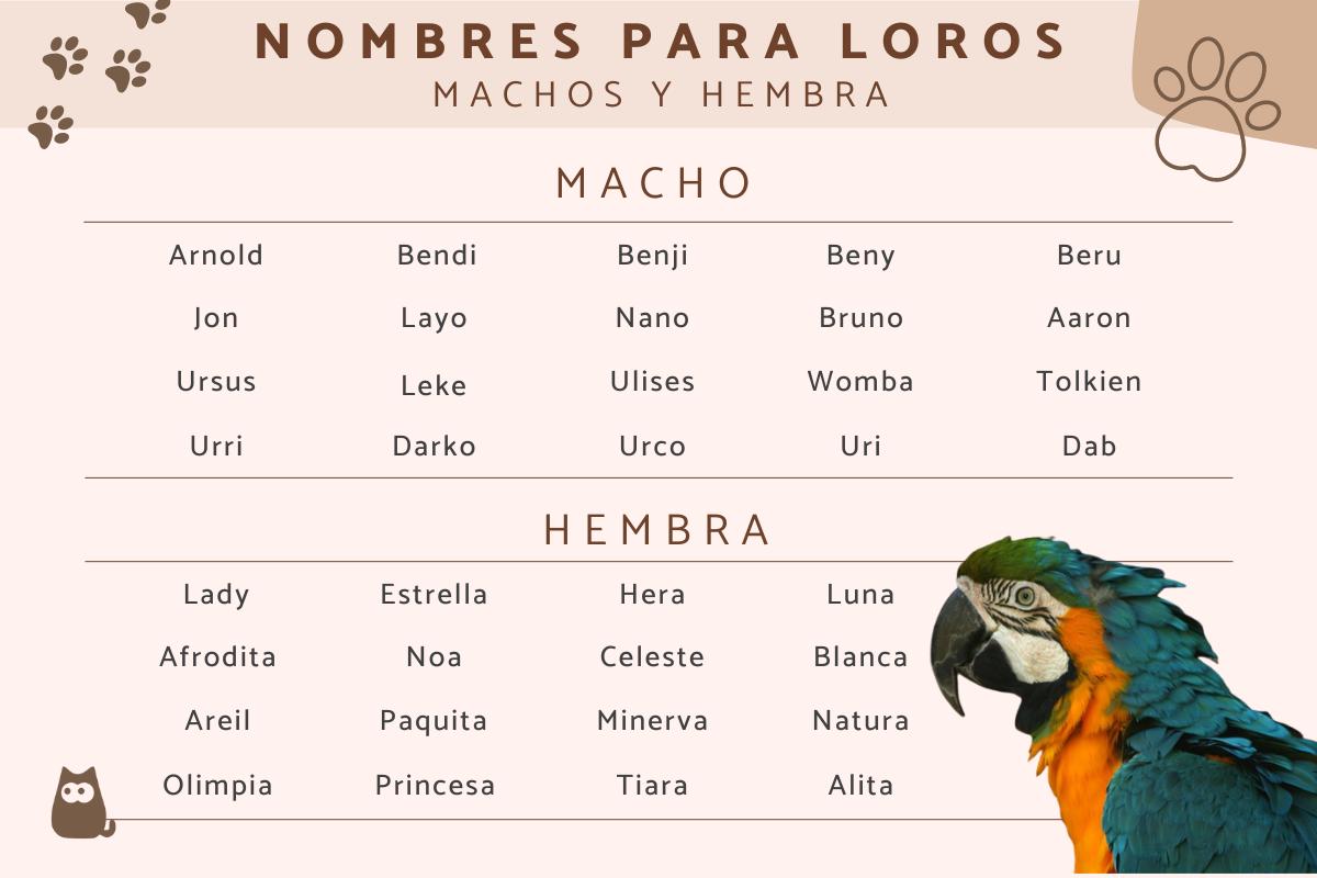 Nombres para loros
