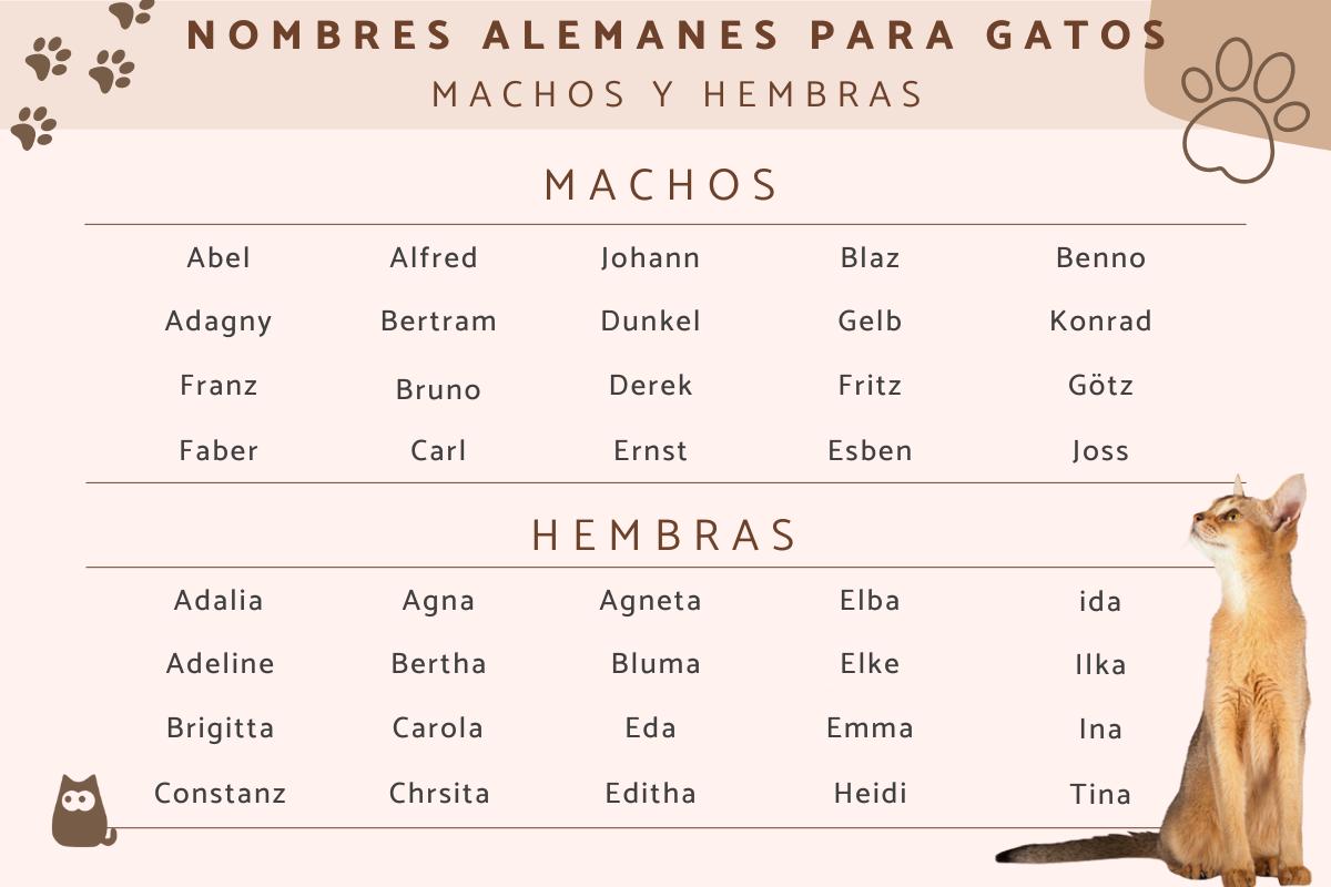 Nombres alemanes para gatos
