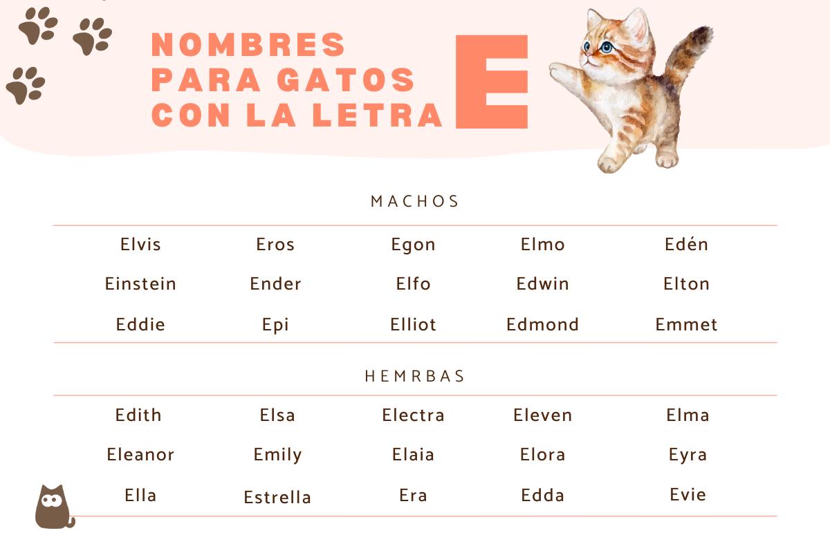 Nombres para gatos con E