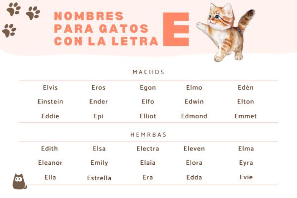 Nombres para gatos con E