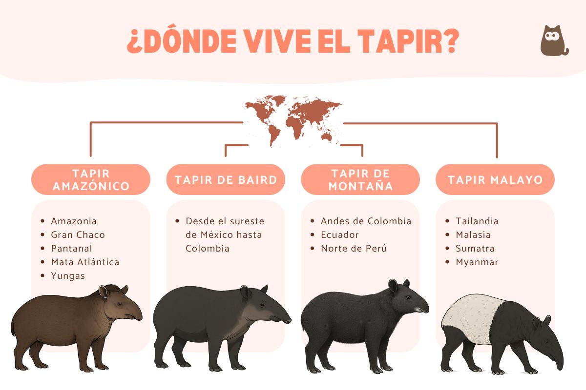 ¿Dónde vive el tapir?