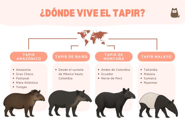 ¿Dónde vive el tapir?