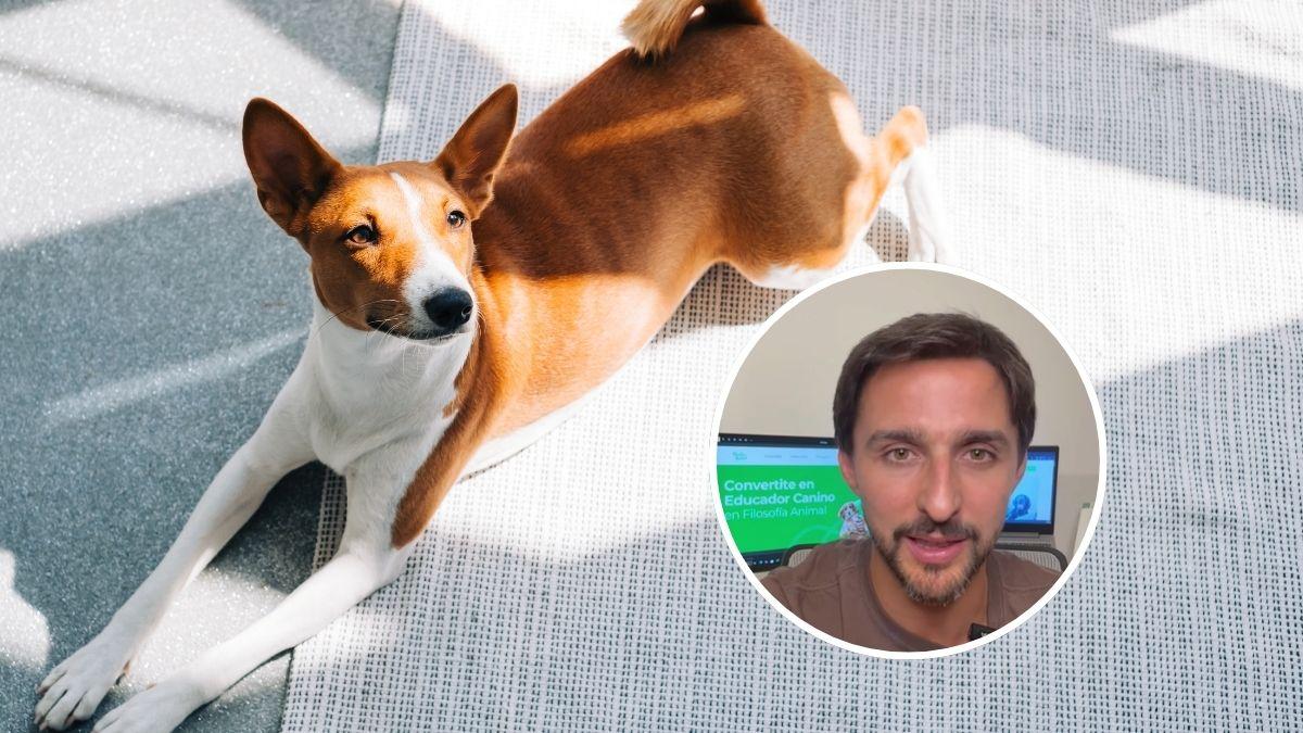 Juan Manuel Liquindoli, etólogo: “Los perros no toman el sol por la vitamina D, lo hacen por otras razones”