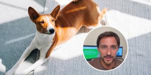 Juan Manuel Liquindoli, etólogo: “Los perros no toman el sol por la vitamina D, lo hacen por otras razones”
