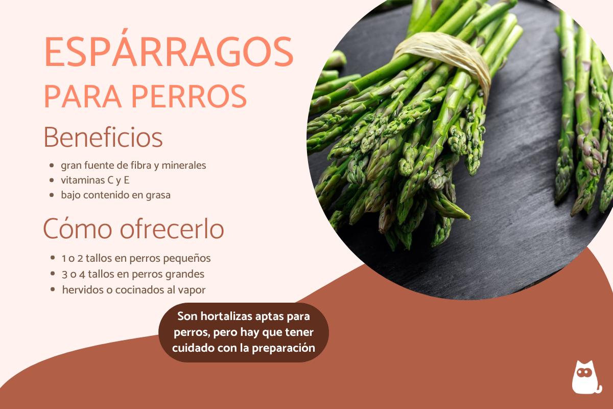 ¿Los perros pueden comer espárragos?
