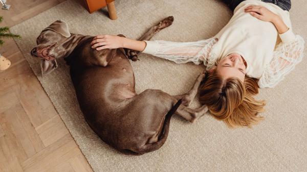 Vivir con un perro deja una huella bacteriana en la boca de los adolescentes que les ayuda a relacionarse mejor, según un estudio - Convivir con un perro podría aportar algo más que compañía a los adolescentes