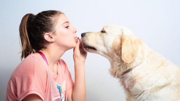 Vivir con un perro deja una huella bacteriana en la boca de los adolescentes que les ayuda a relacionarse mejor, según un estudio - Detectan 12 bacterias distintas en adolescentes que viven con perros