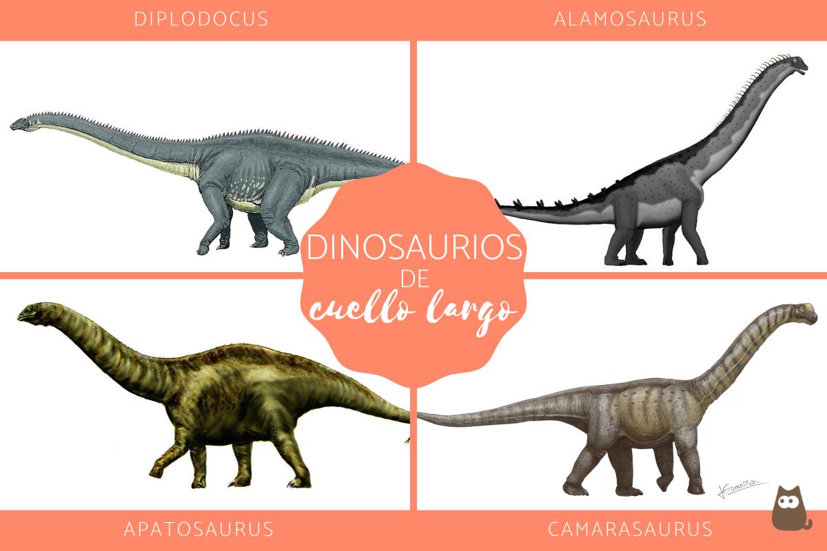 Dinosaurios de cuello largo - Características y ejemplos