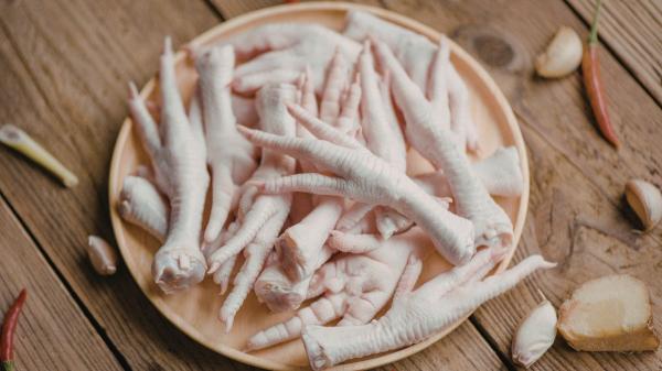 Los veterinarios coinciden: las patas de pollo son buenas para los perros, pero solo si se dan así - El alimento natural que mejora las articulaciones y dientes de los perros