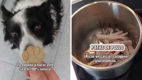 Los veterinarios coinciden: las patas de pollo son buenas para los perros, pero solo si se dan así - La receta de María Vetican para dar patas de pollo a los perros