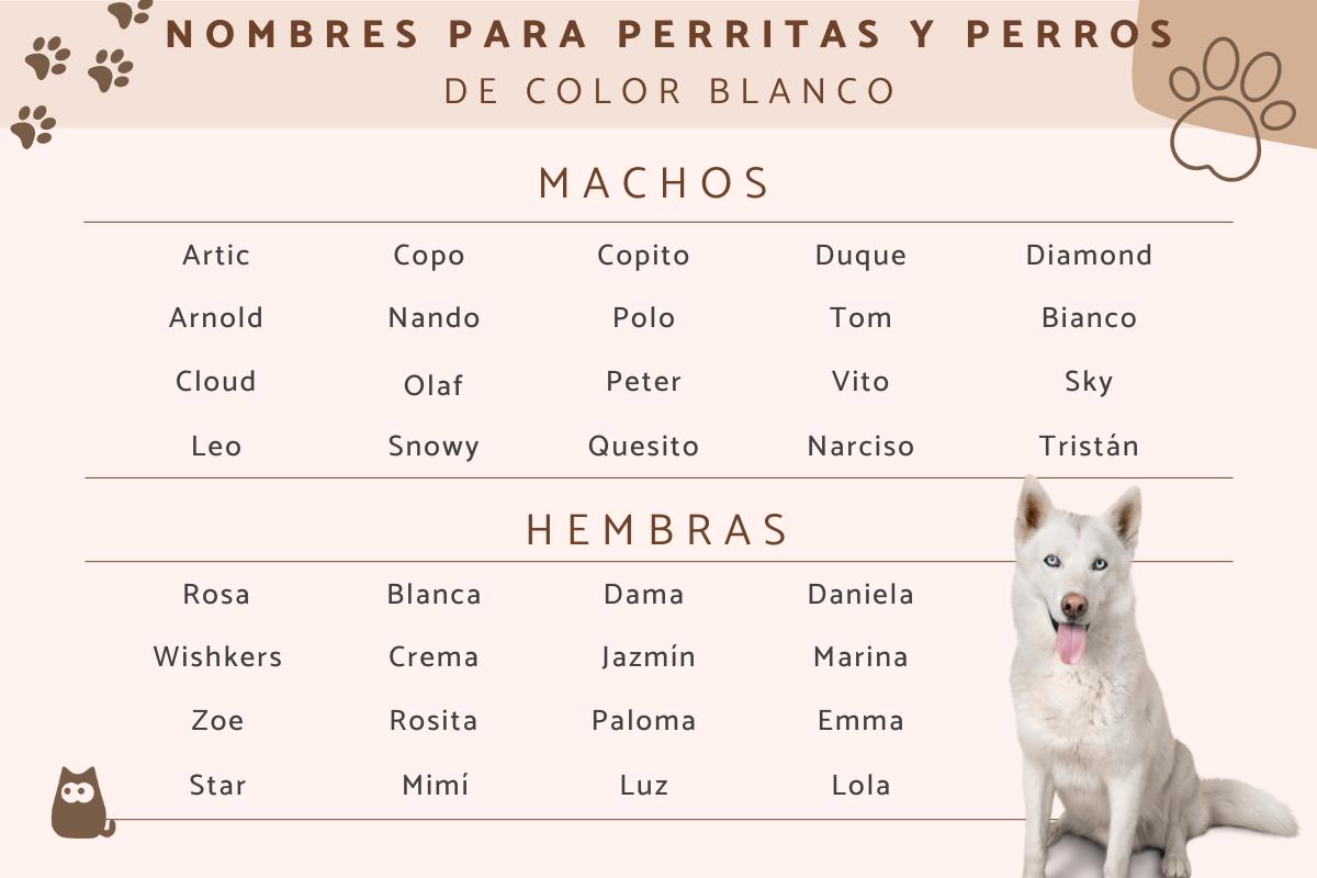 Nombres para perros blancos machos y hembras