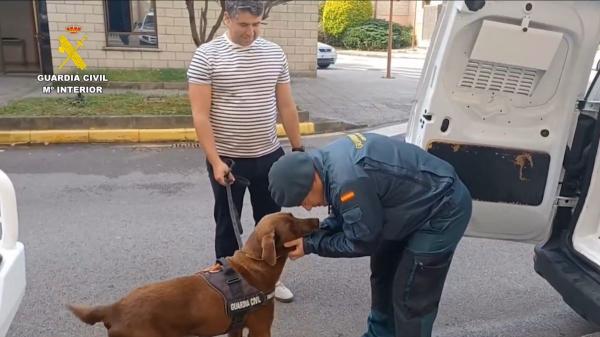 De detectar explosivos en los Juegos de París a la jubilación: la emotiva despedida de Max, el labrador de la Guardia Civil que se ha vuelto viral - La nueva misión de Chini tras la jubilación de Max en la Guardia Civil