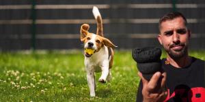 Manel, educador canino: "Si tu perro destroza los juguetes de estimulación, prueba esta alternativa"