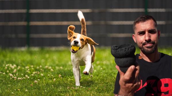 Manel, educador canino: "Si tu perro destroza los juguetes de estimulación, prueba esta alternativa"