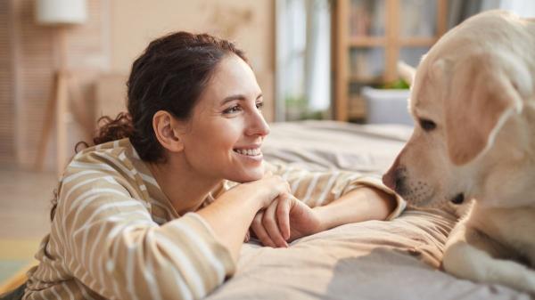La psicología dice que quienes hablan a sus perros y gatos como si fueran personas muestran más curiosidad y sensibilidad hacia su entorno - Hablar con perros y gatos no siempre implica humanizarlos