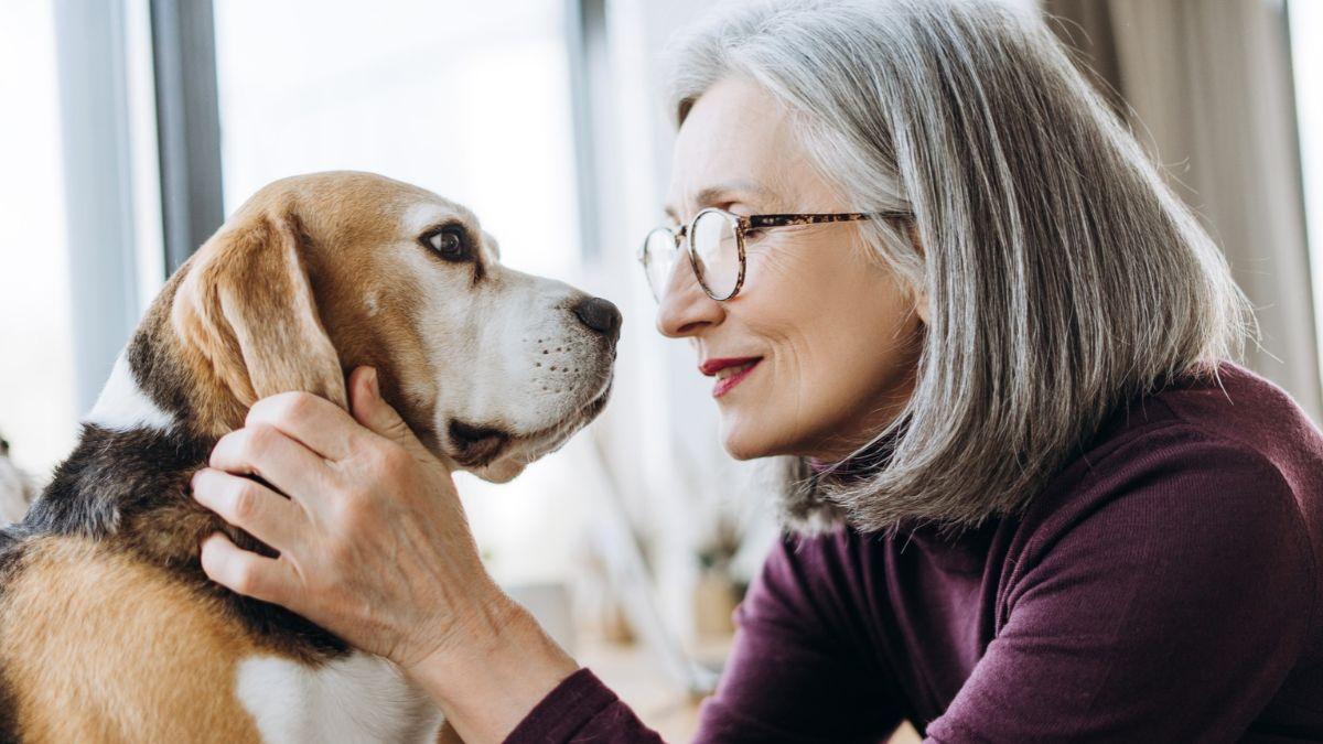 La psicología dice que quienes hablan a sus perros y gatos como si fueran personas muestran más curiosidad y sensibilidad hacia su entorno