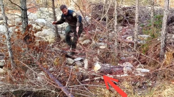 Qué le ha pasado a Centenario, el quebrantahuesos envenenado en Picos de Europa - Lo que ocurrió con Centenario, el quebrantahuesos hallado muerto: ''Es un grave atentado ambiental''