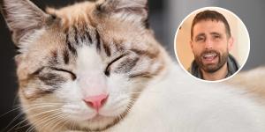 Carlos Gutiérrez, veterinario: “Nuestros gatos se parecen a nosotros y la ciencia lo confirma”