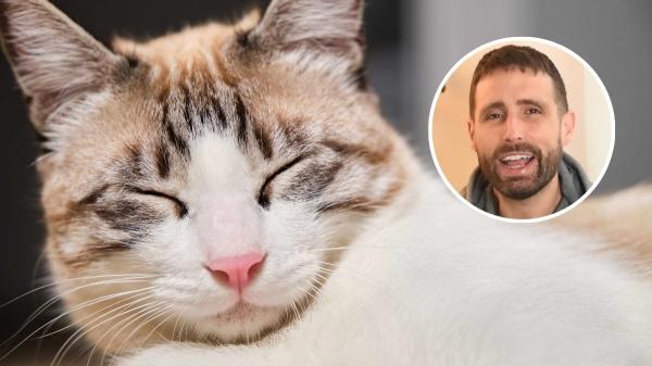 Carlos Gutiérrez, veterinario: “Nuestros gatos se parecen a nosotros y la ciencia lo confirma”