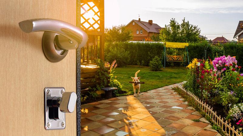 me refiero a mantener a mis perros afuera