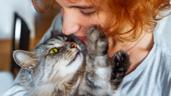 Carlos Gutiérrez, veterinario: “Nuestros gatos se parecen a nosotros y la ciencia lo confirma” - La ciencia explica por qué tu gato se pone nervioso cuando tú lo estás