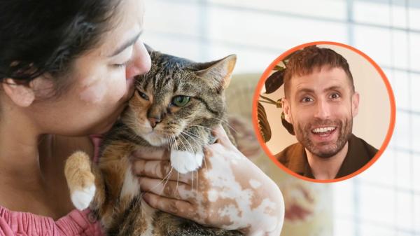 Carlos Gutiérrez, veterinario: “Los gatos no entienden los besos y los abrazos como las personas”