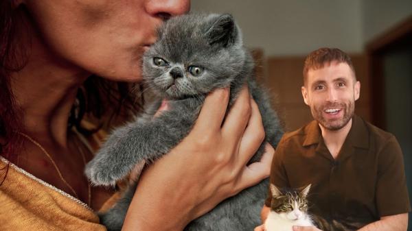 Carlos Gutiérrez, veterinario: “Los gatos no entienden los besos y los abrazos como las personas” - Ronroneos, roces y lamidos: así responde un gato cuando disfruta de tus mimos
