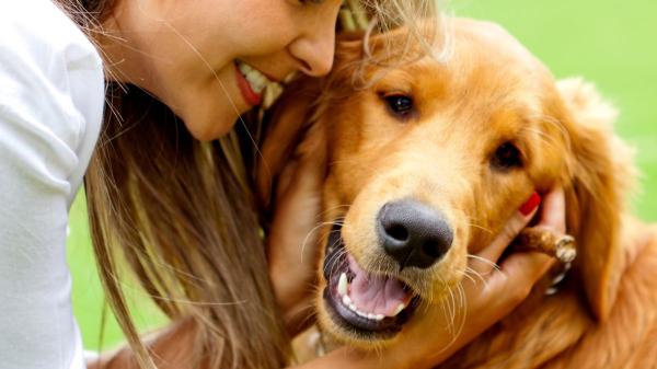 Antes se creía que un año de perro equivalía a siete humanos: la ciencia explica ahora por qué no es tan sencillo - Los perros crecen más rápido que las personas, pero envejecen más lento