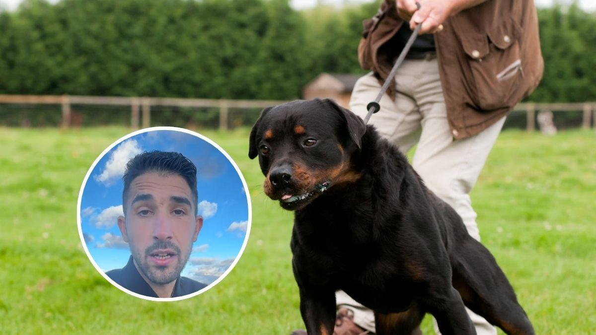 Alberto Sanz, adiestrador canino: "Este error provoca que tu perro salga descontrolado de casa"