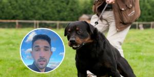Alberto Sanz, adiestrador canino: "Este error provoca que tu perro salga descontrolado de casa"