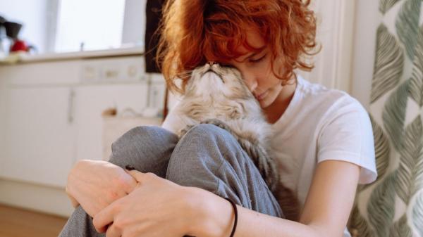 Estrés, apatía y cambios de conducta: así viven los perros y gatos el duelo tras la pérdida de un ser querido (y cómo ayudarlos) - Tu estado emocional es clave: cómo tu tristeza afecta a tu mascota