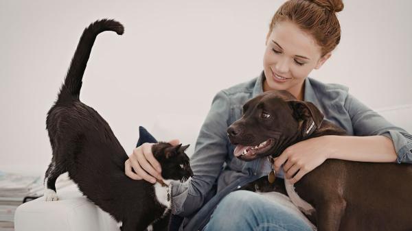 No es exageración: la ciencia explica por qué ves a tu perro o gato como un hijo (y qué dice sobre ti) - El vínculo humano-animal según la ciencia: tu perro o gato te ve como su familia