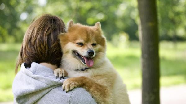 No es exageración: la ciencia explica por qué ves a tu perro o gato como un hijo (y qué dice sobre ti) - Querer a tu mascota como a un hijo no es lo mismo que humanizarla