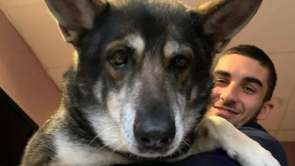 Ferran Torres, el héroe de la final comprometido con los perros abandonados: así ayuda a encontrarles un hogar - Así ayuda Ferran Torres a que más perros abandonados encuentren un hogar