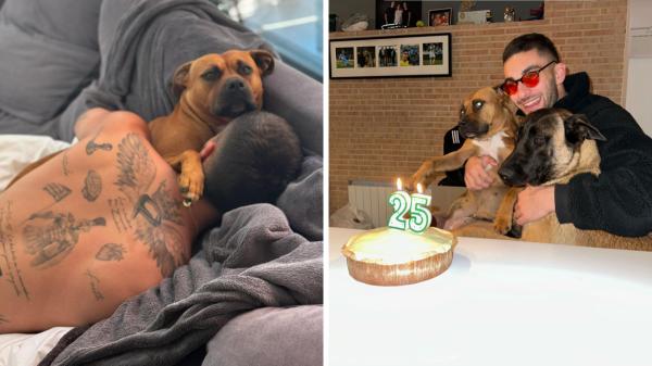 Ferran Torres, el héroe de la final comprometido con los perros abandonados: así ayuda a encontrarles un hogar - El lado más desconocido de Ferran Torres: su familia de perros adoptados