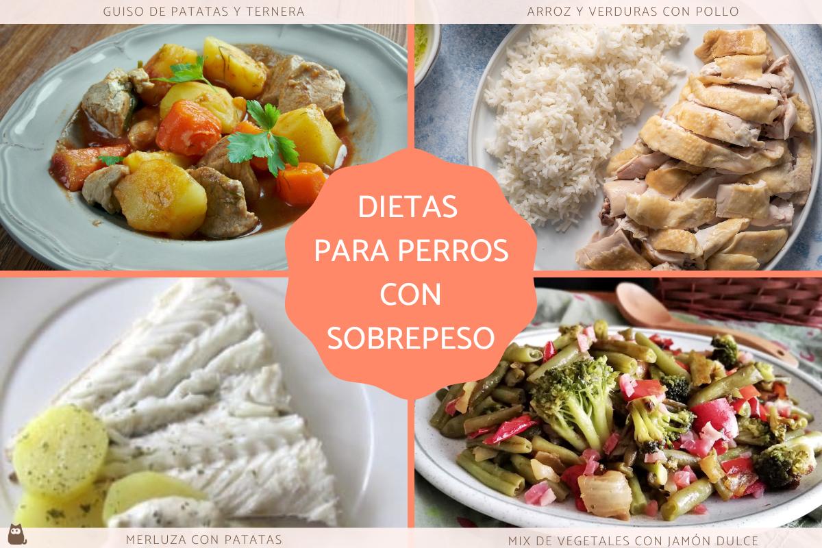 Recetas para perros con sobrepeso
