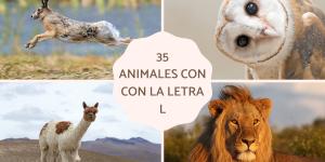 Animales con L en español y en inglés