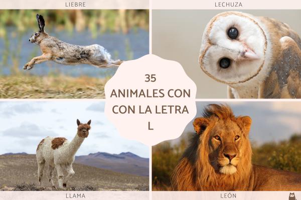 Animales con L en español y en inglés