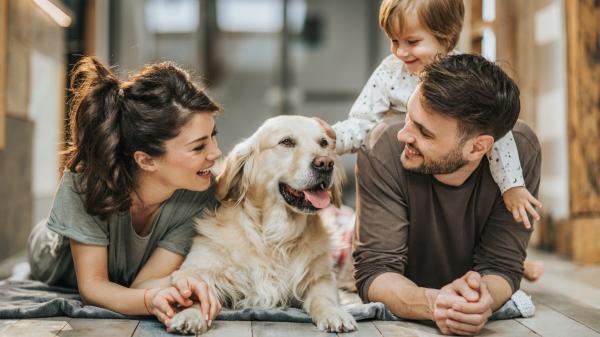 Los psicólogos coinciden: las personas que conviven con perros tienen un rasgo en común - Estos son los beneficios psicológicos de convivir con un perro
