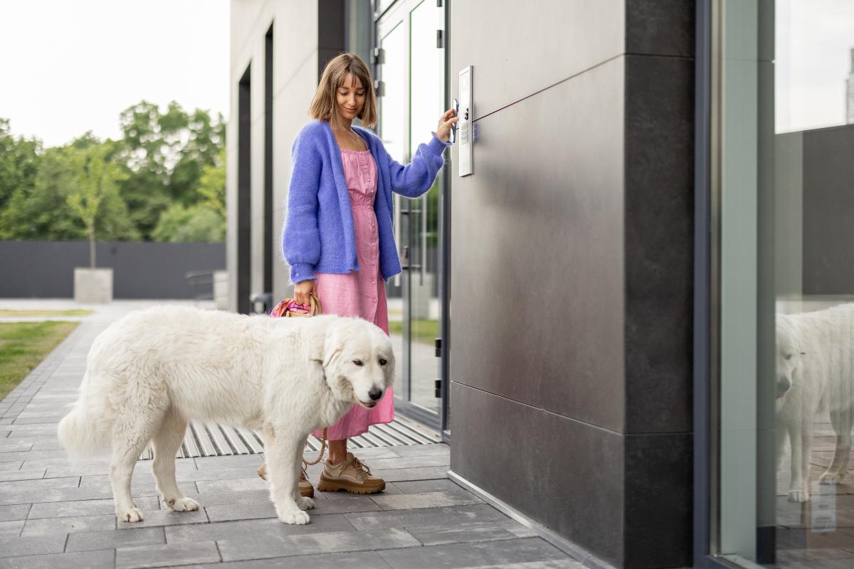 ¿Es rentable una residencia canina?