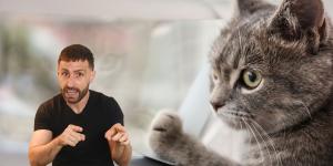 Carlos Gutiérrez, veterinario: “Tu gato no piensa que lo has abandonado cuando sales de casa, sabe que volverás y te espera”