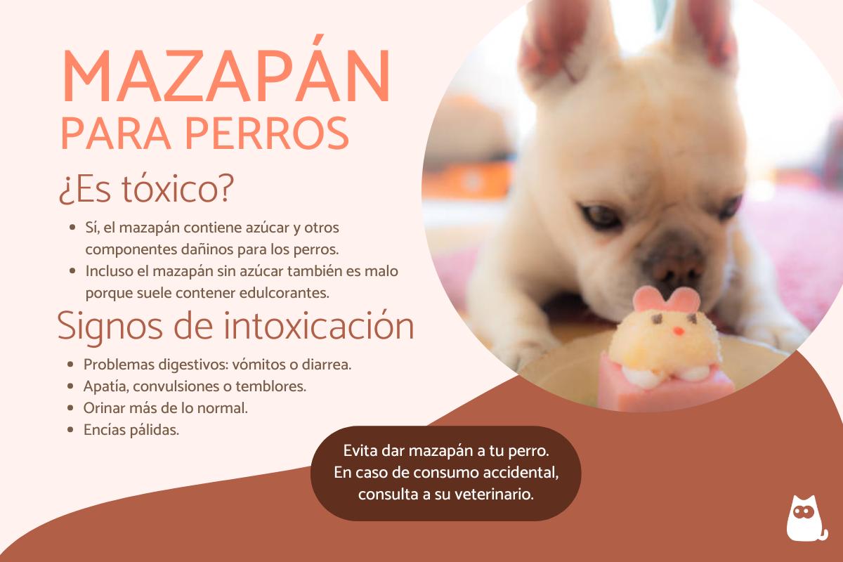 ¿Los perros pueden comer mazapán?