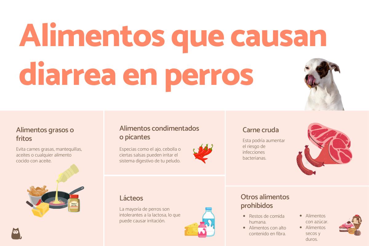 Alimentos que causan diarrea en perros