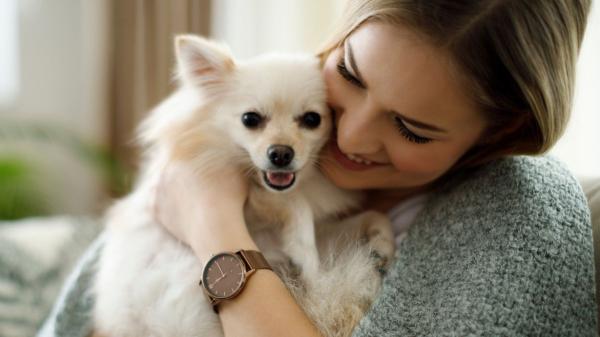 Los veterinarios coinciden: “La persona favorita de un perro es siempre la que le hace sentir seguro y comprendido, no necesariamente quien le da de comer” - Las señales que revelan quién es la persona favorita de un perro, según los expertos