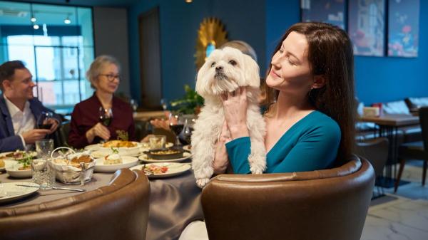 Hong Kong pone fin a años de prohibición: los perros ya pueden entrar en los restaurantes con sus dueños - Estos son los requisitos que deben cumplir los perros para entrar en un restaurante de Hong Kong